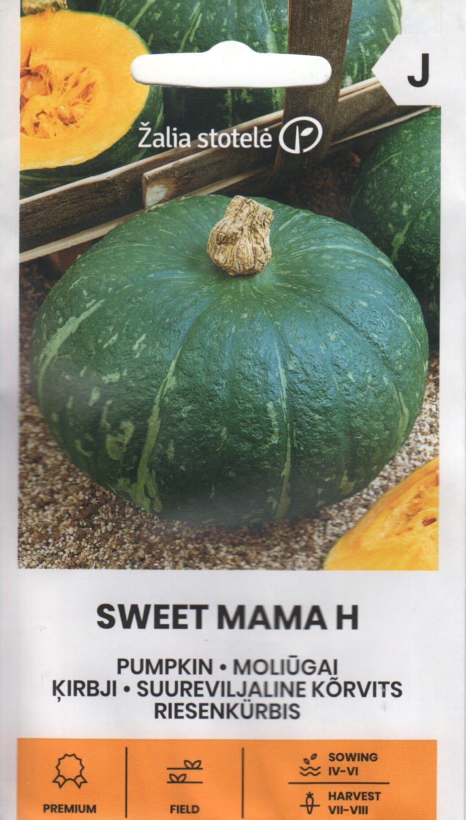 Kõrvits "Sweet Mama" F1