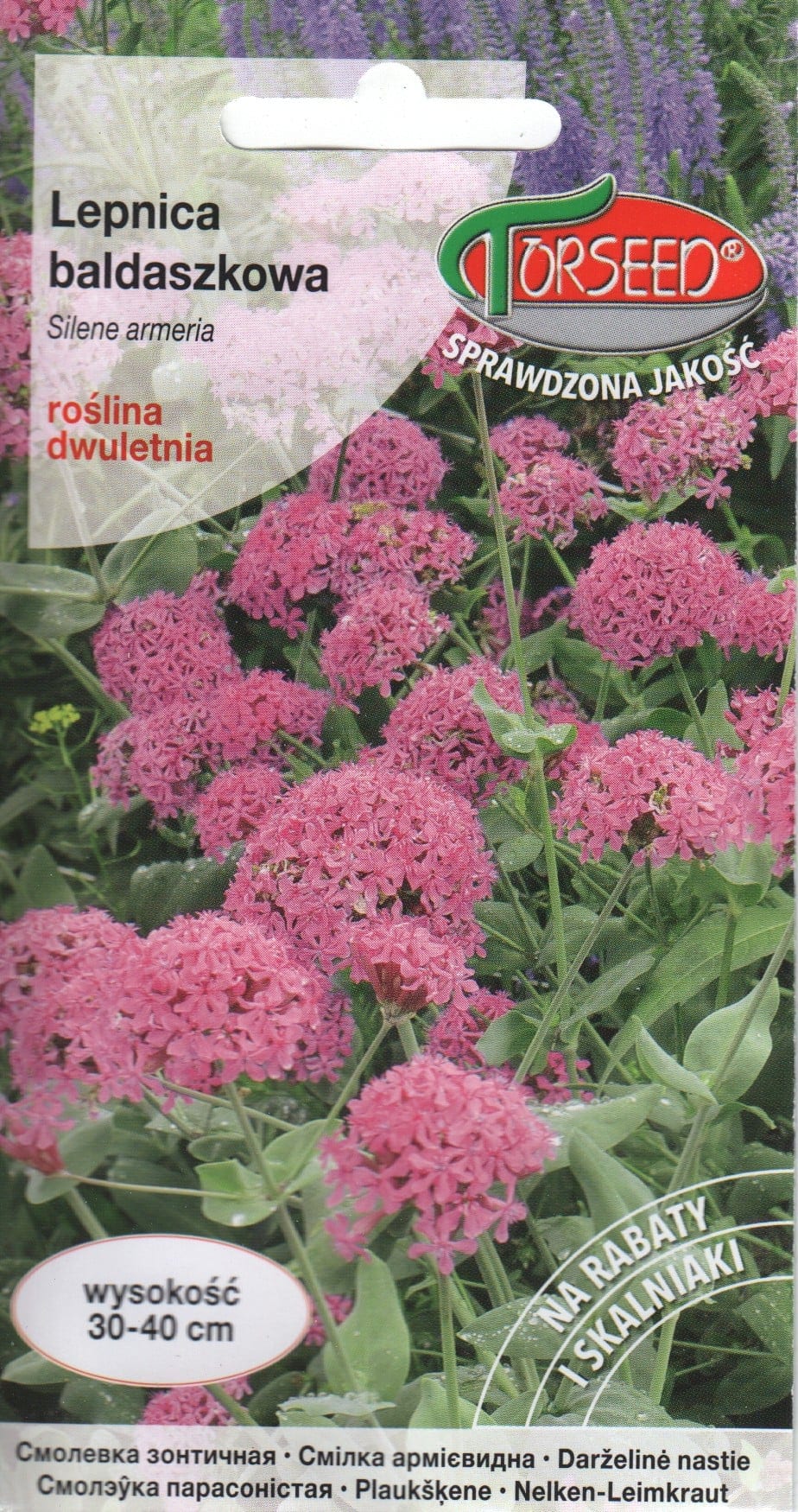 Aed-põisrohi roosa
