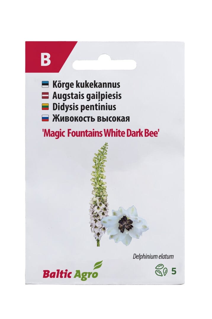 Kõrge kukekannus "Magic Fountains White Dark Bee"