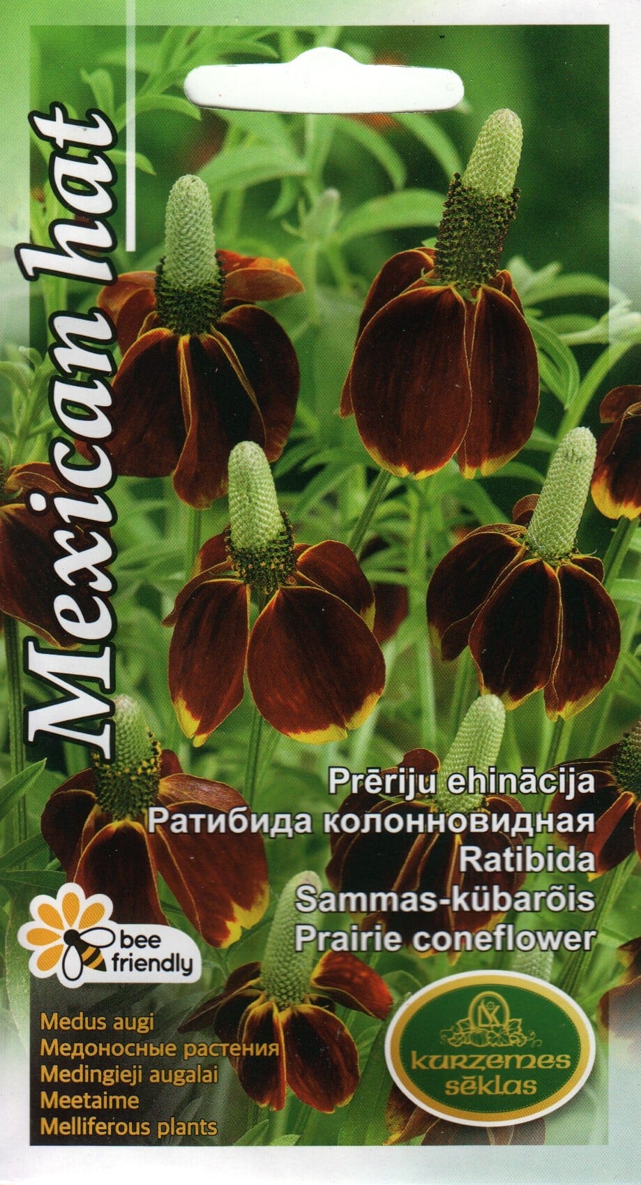 Sammas-kübarõis "Mexican Hat"