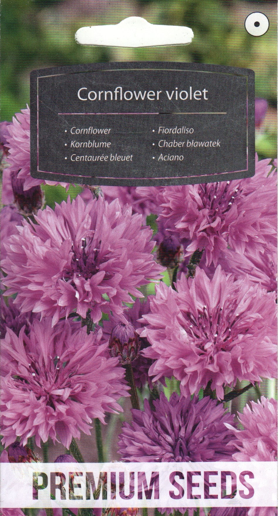 Rukkilill violetne