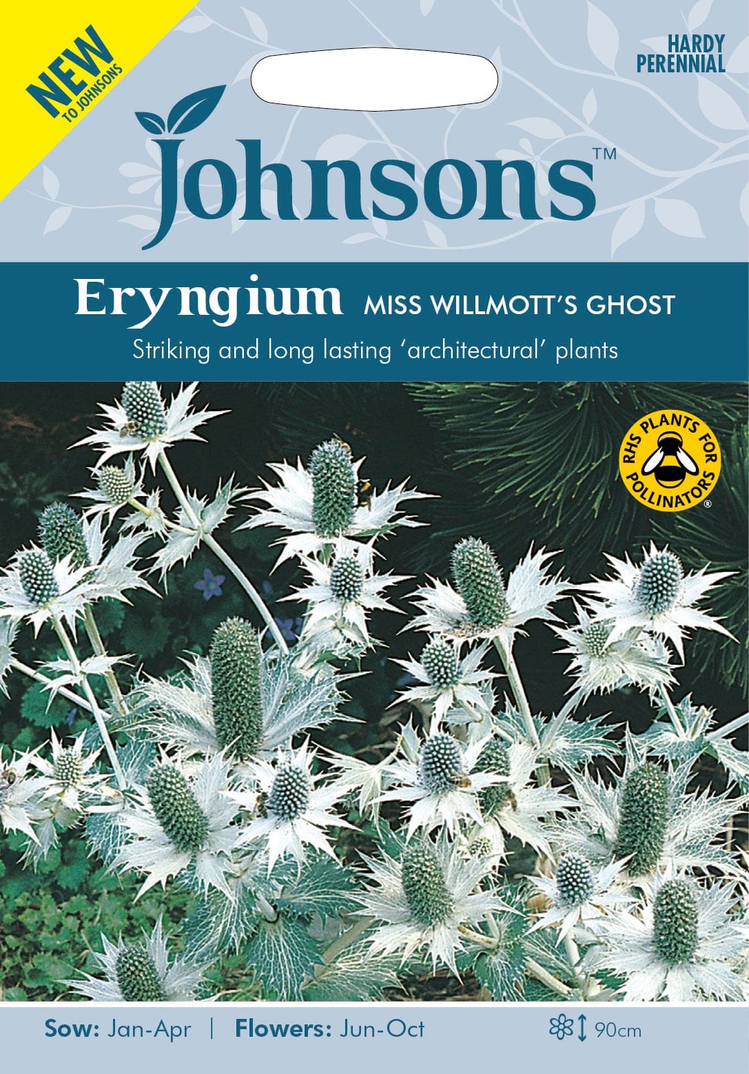Hiid-ogaputk "Miss Willmott`s Ghost"