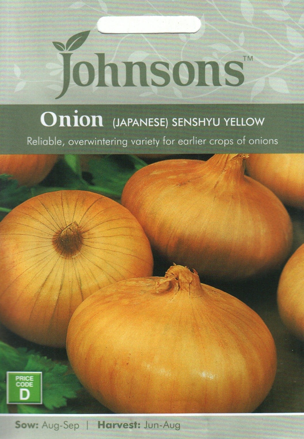 Jaapani sibul "Senshyu Yellow"