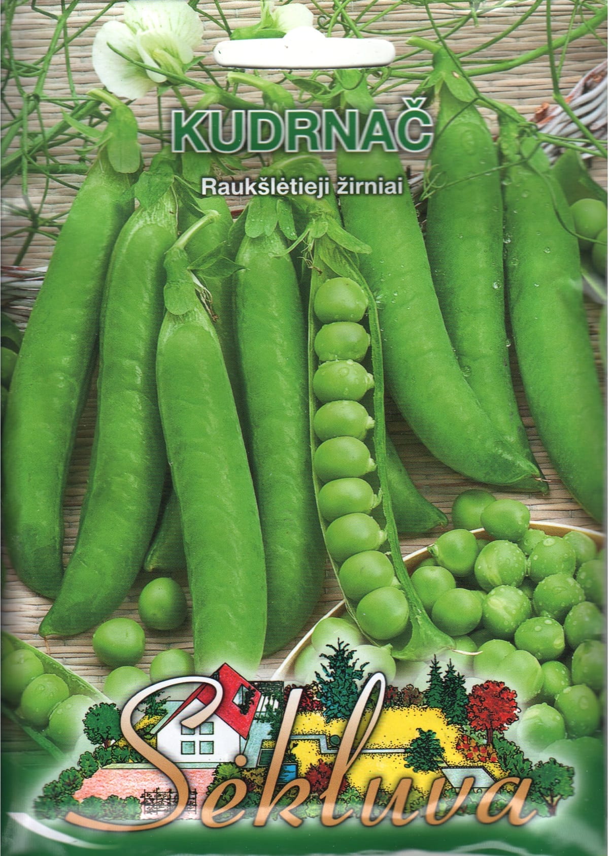 Aedhernes "Kudrnac"