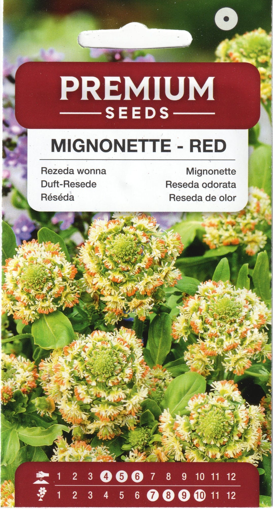 Lõhnav reseeda "Mignonette - Red"