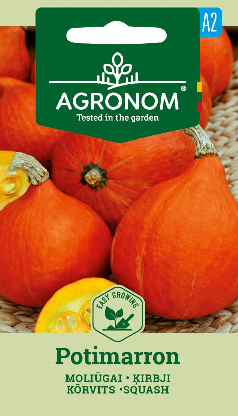 Hokkaido kõrvits "Potimarron"
