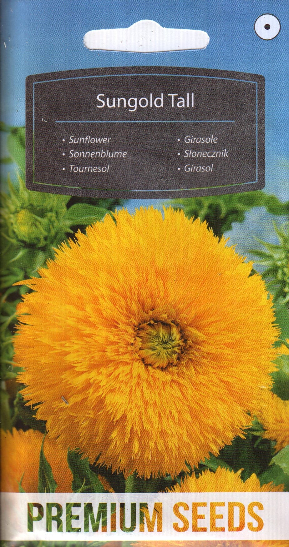 Harilik päevalill "Sungold Tall"