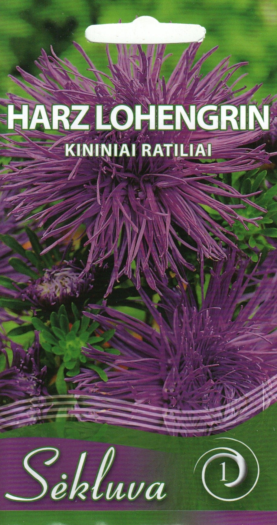 Aster "Harz Lohengrin"