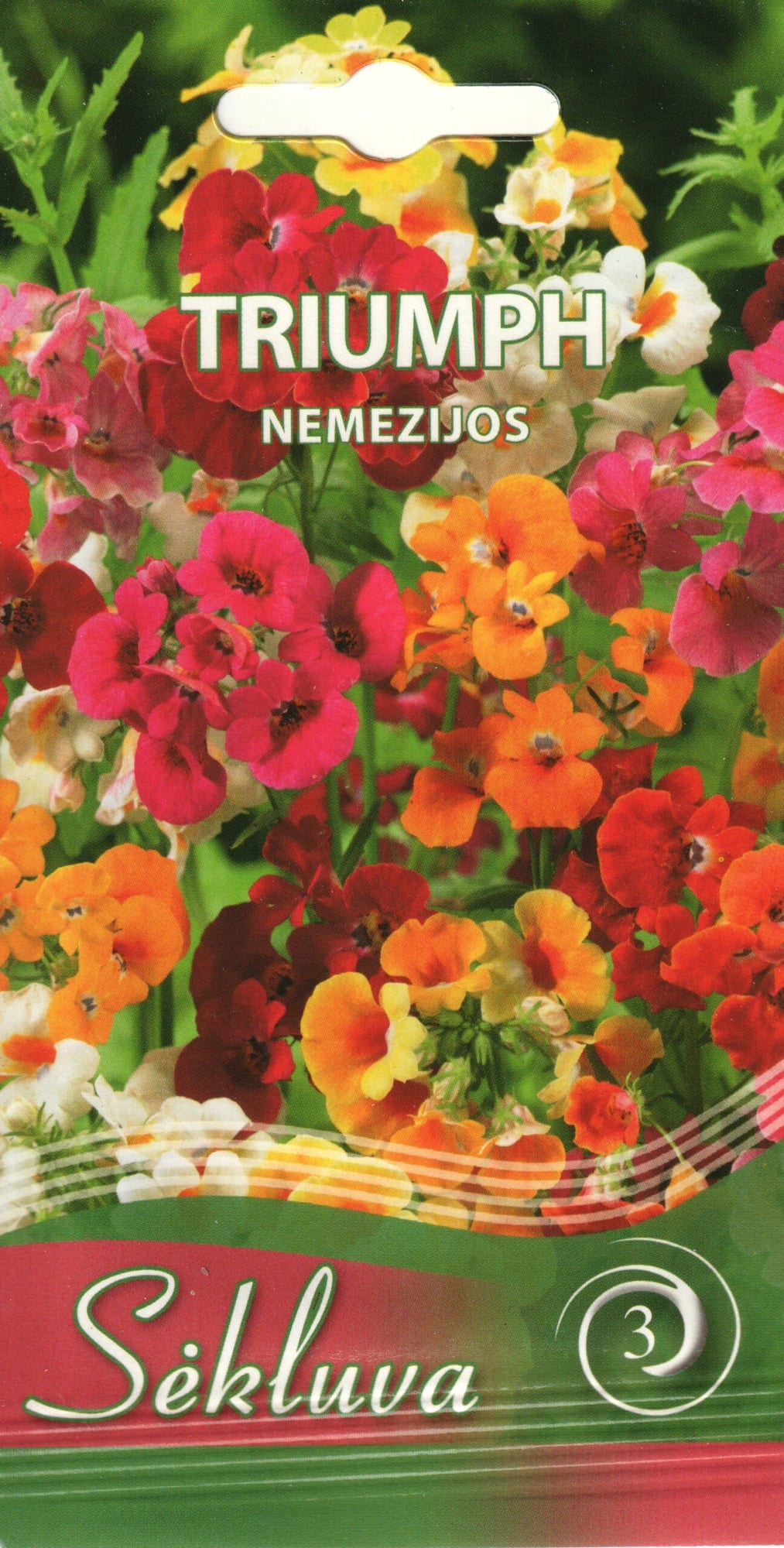 Suureõieline nemeesia "Triumph"