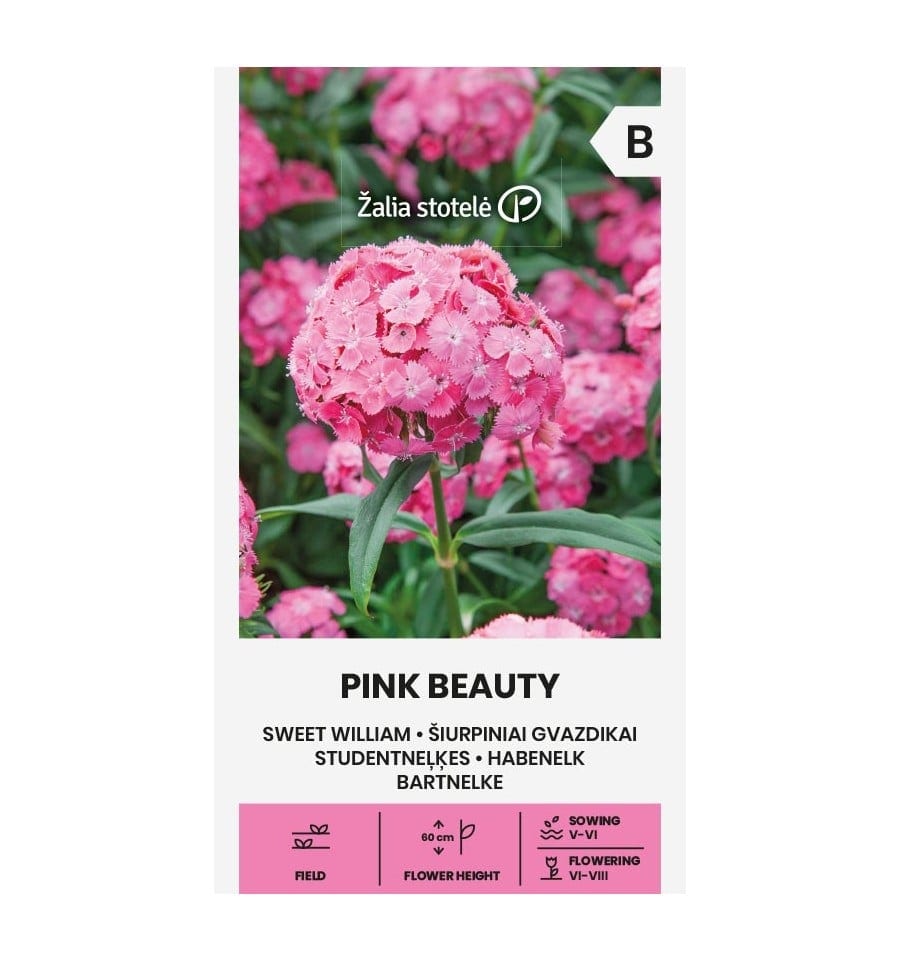 Habenelk "Pink Beauty"