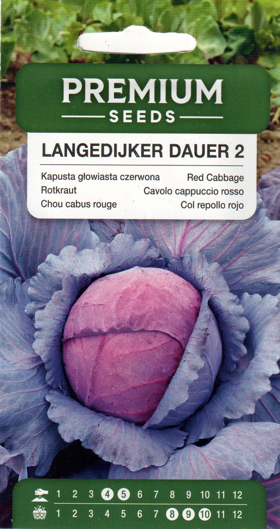 Punane peakapsas "Langedijker Dauer 2"