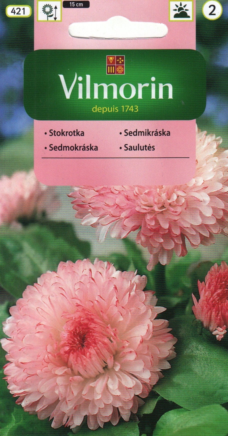 Harilik kirikakar "Maria"