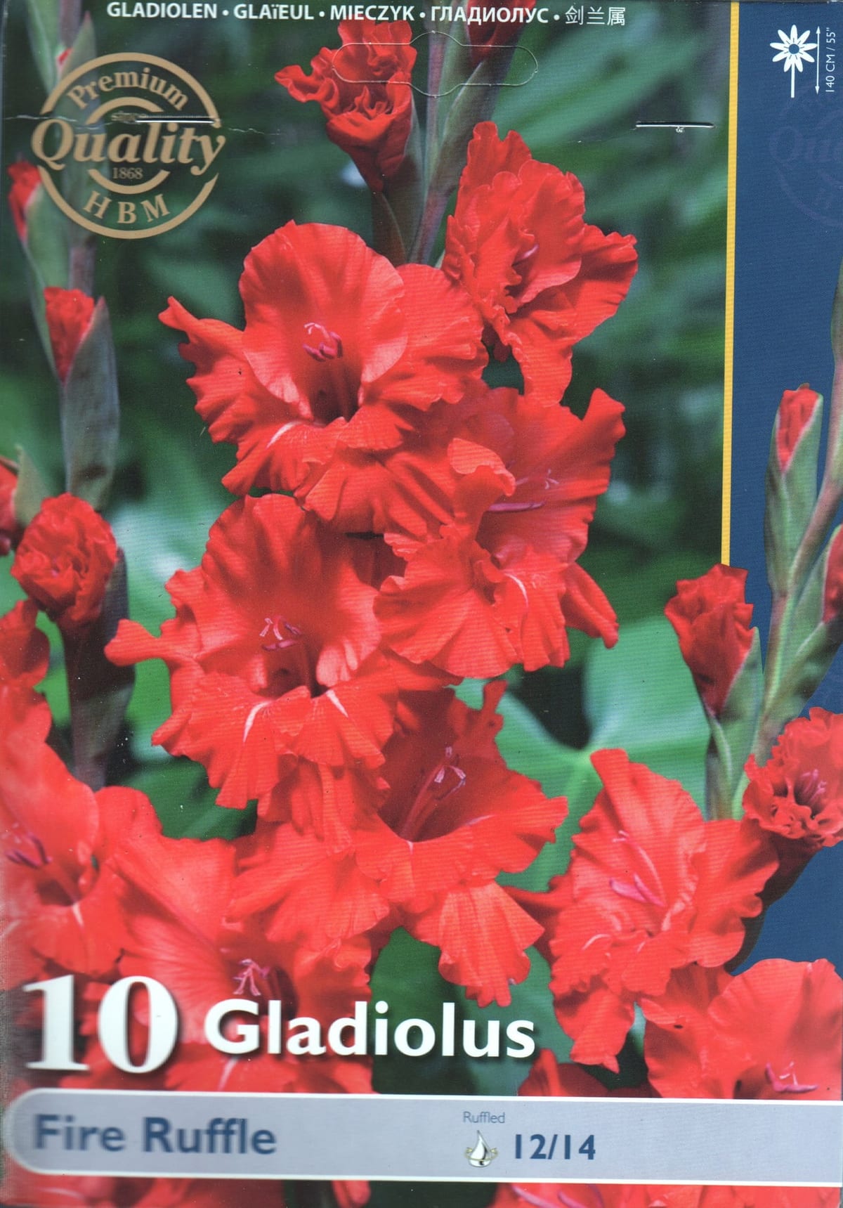 Gladiool "Fire Ruffle"