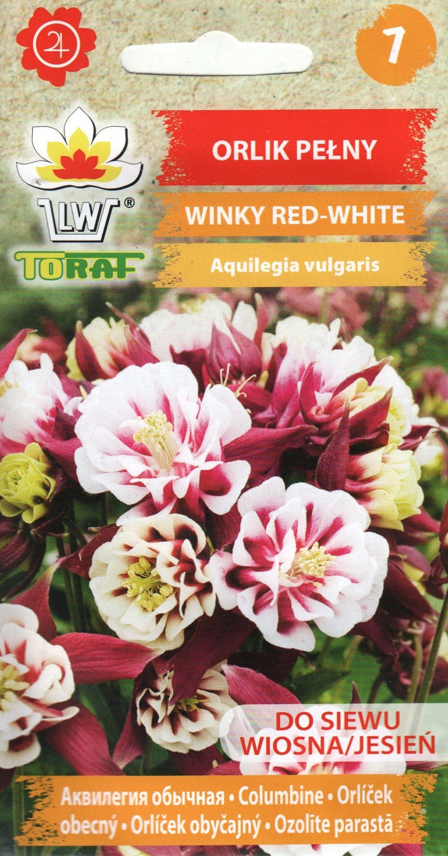 Harilik kurekell "Winky Red-White"