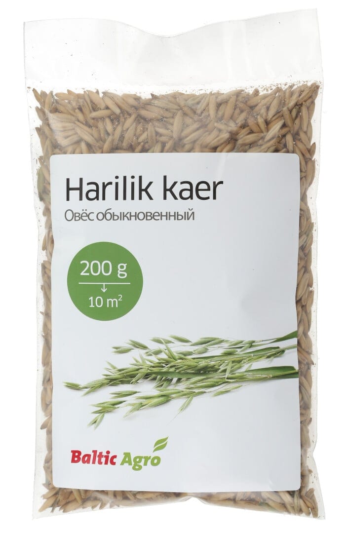 Haljasväetis - harilik kaer