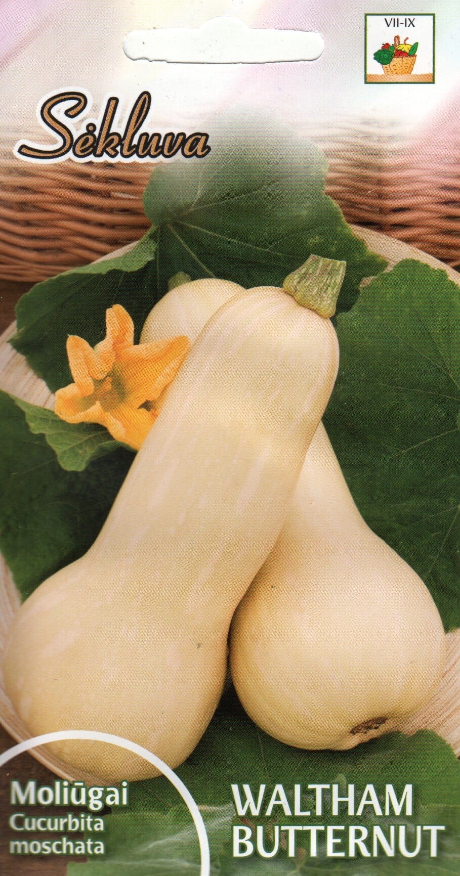 Muskaatkõrvits "Waltham Butternut"