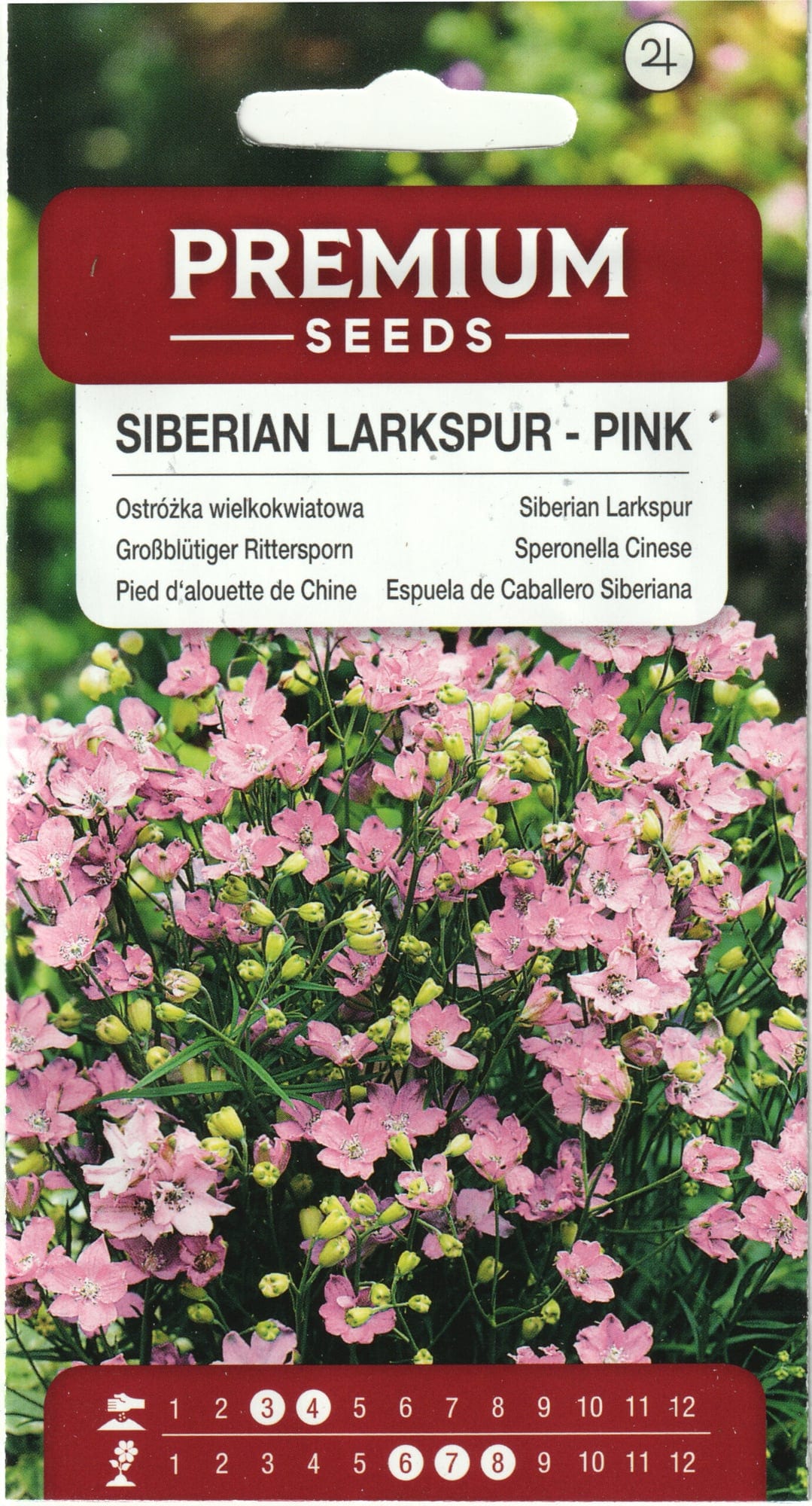 Suureõiene kukekannus kääbus roosa
