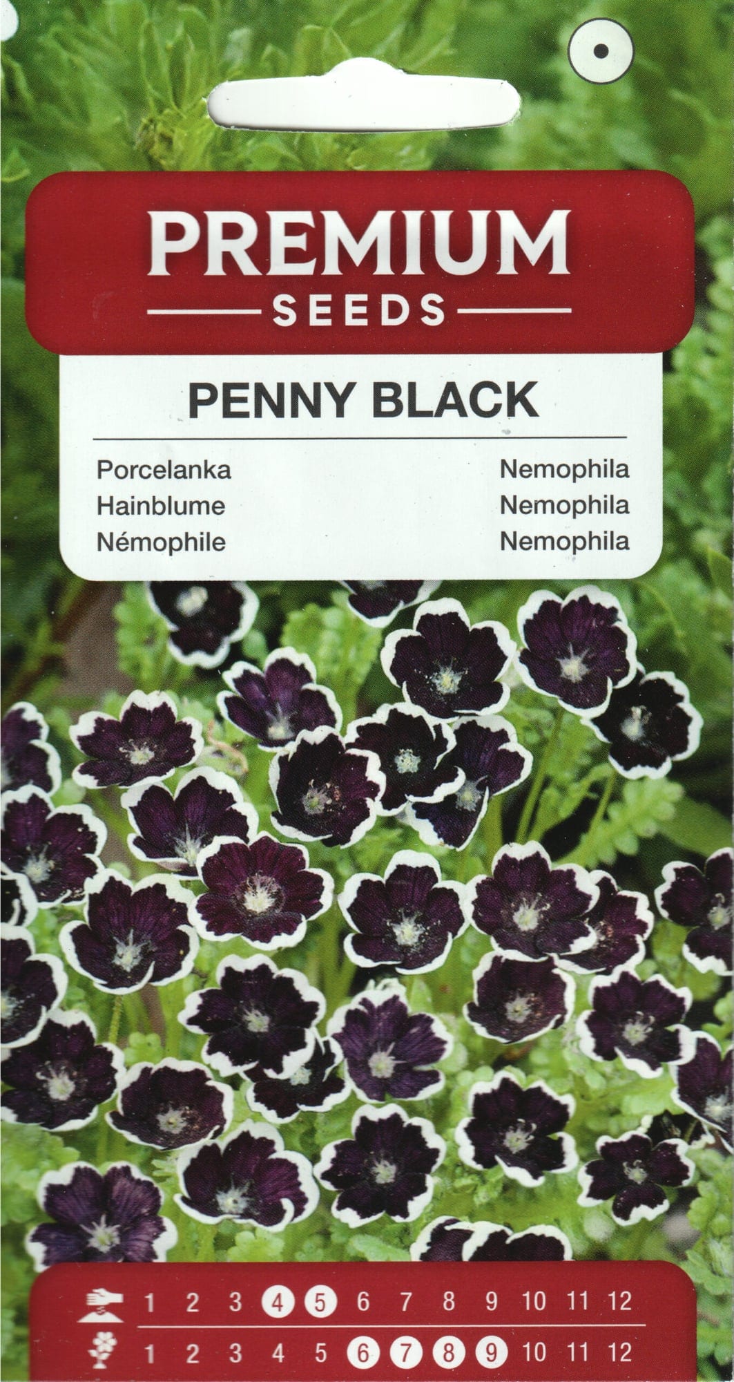 Tore vaariklill "Penny Black"