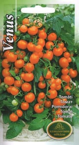 Pilt 1