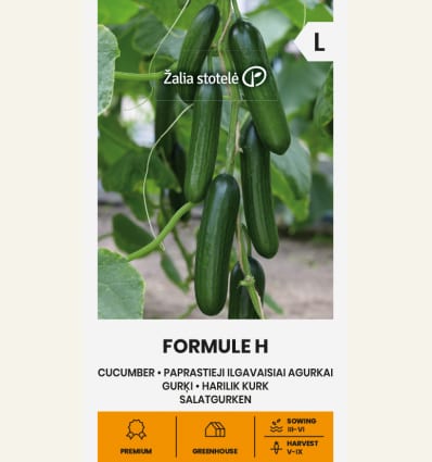 Kasvuhoonekurk "Formule" F1