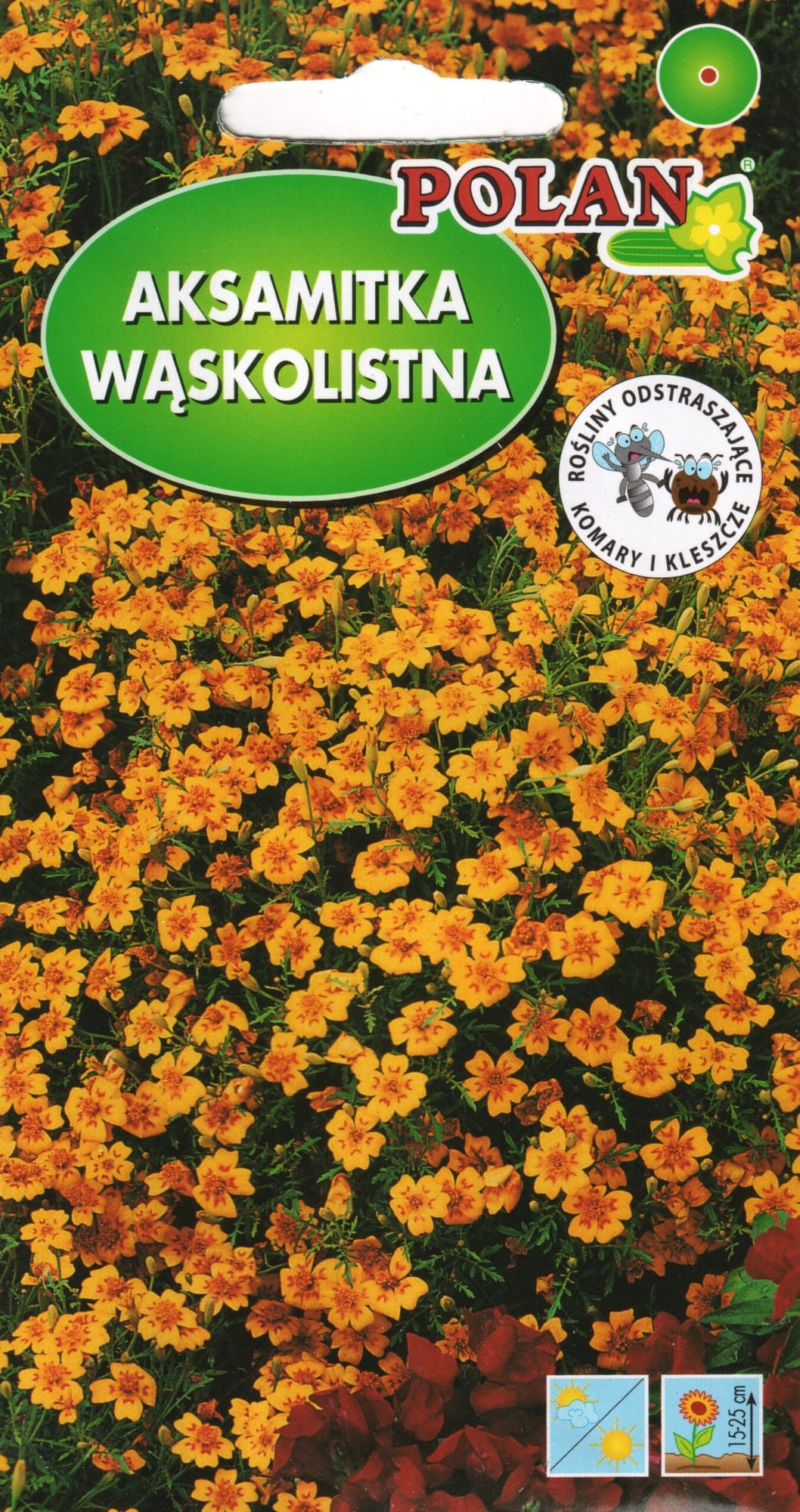 Ahtalehine peiulill oranž