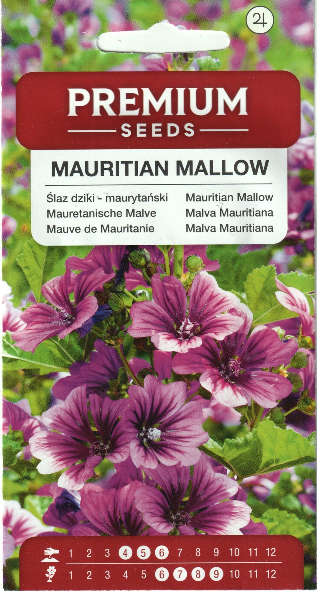 Mauri kassinaeris