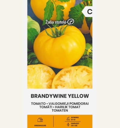 Tomat "Brandywine Yellow"