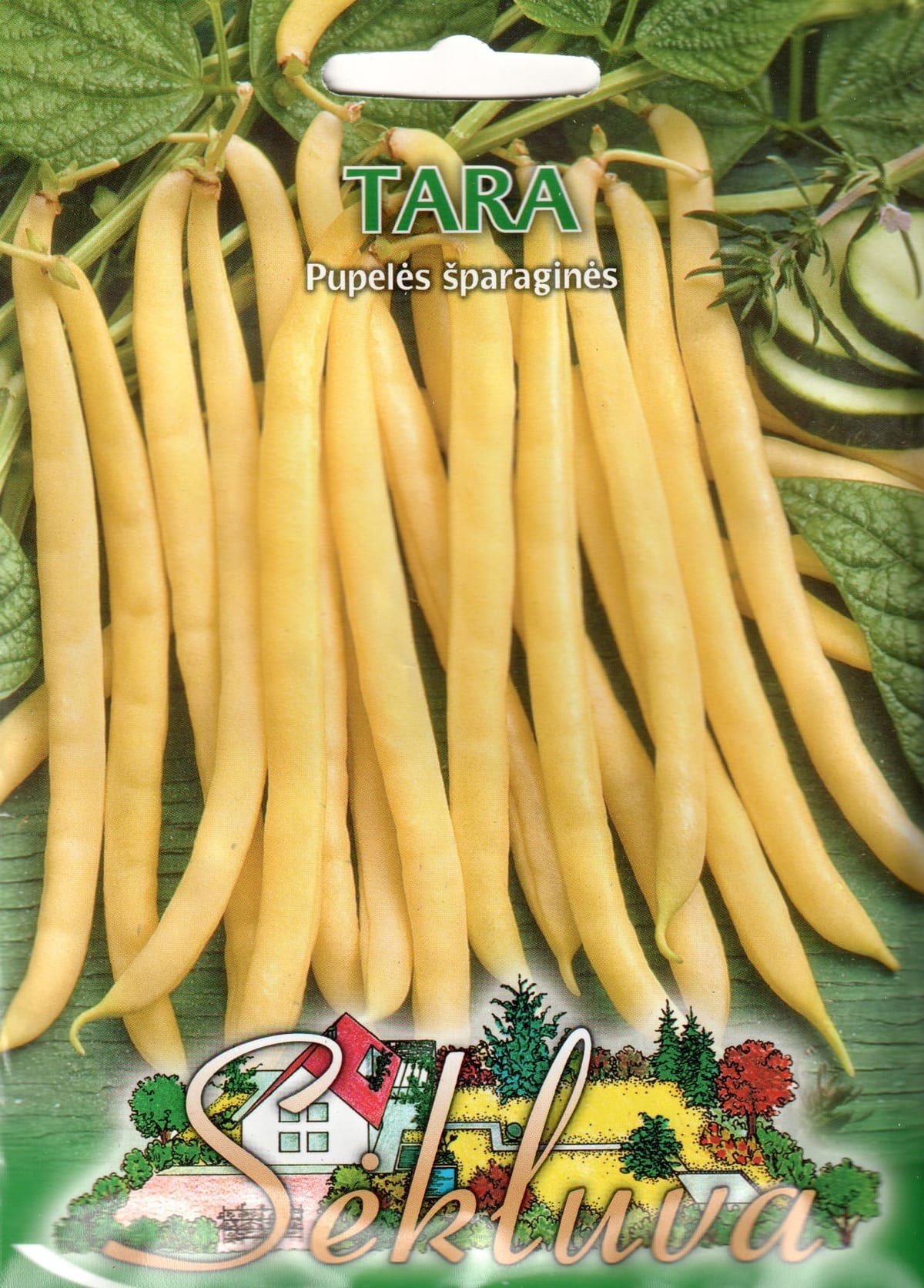 Aeduba "Tara"
