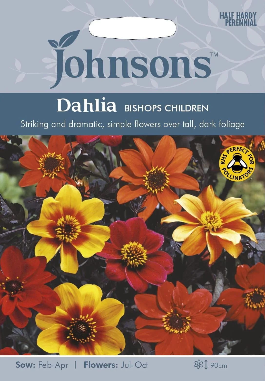 Aed-daalia tumedaleheline "Bishops Children"