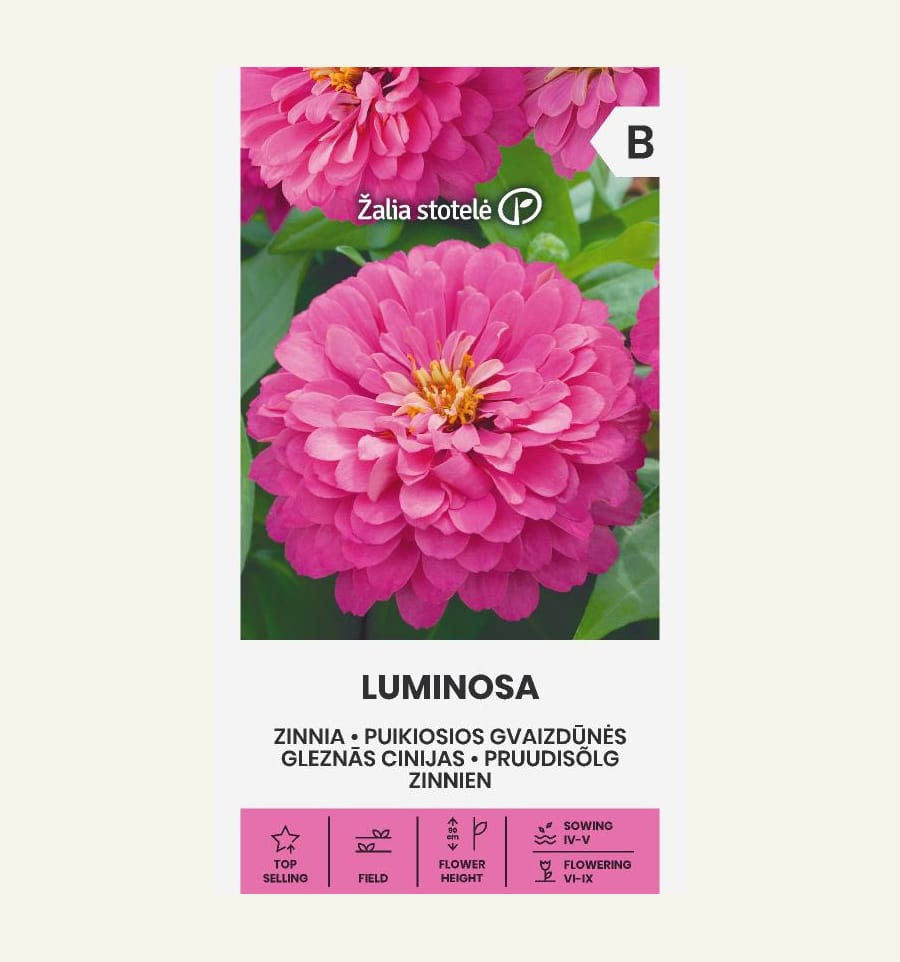 Harilik pruudisõlg "Luminosa"