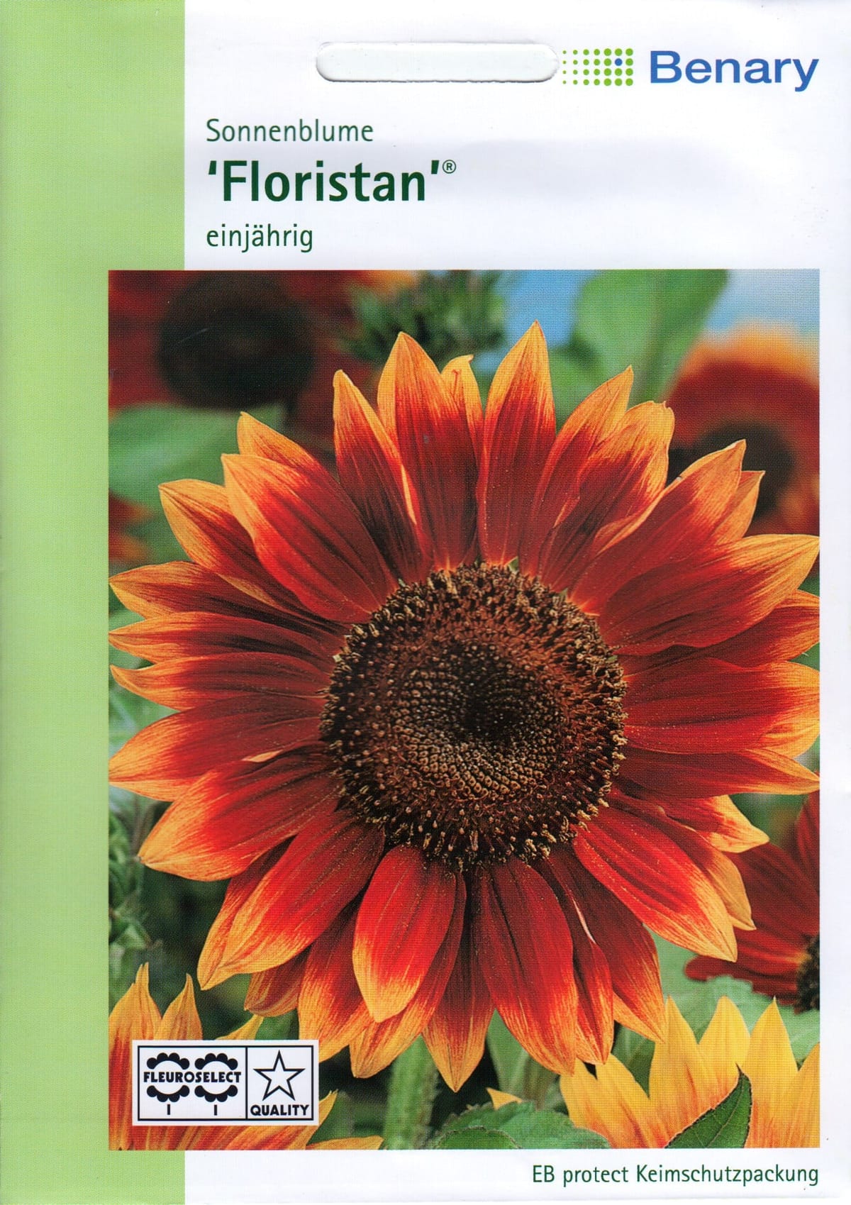 Harilik päevalill "Floristan"