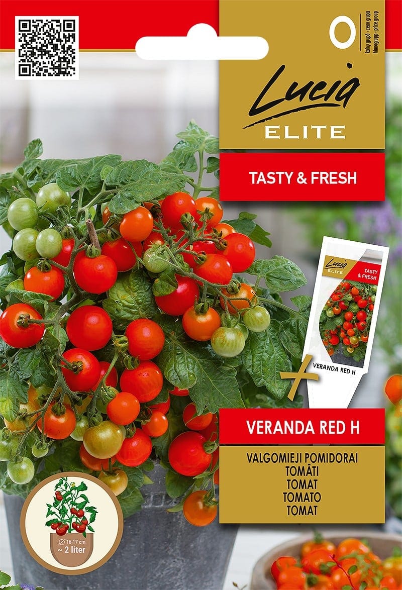 Tomat "Veranda Red" F1