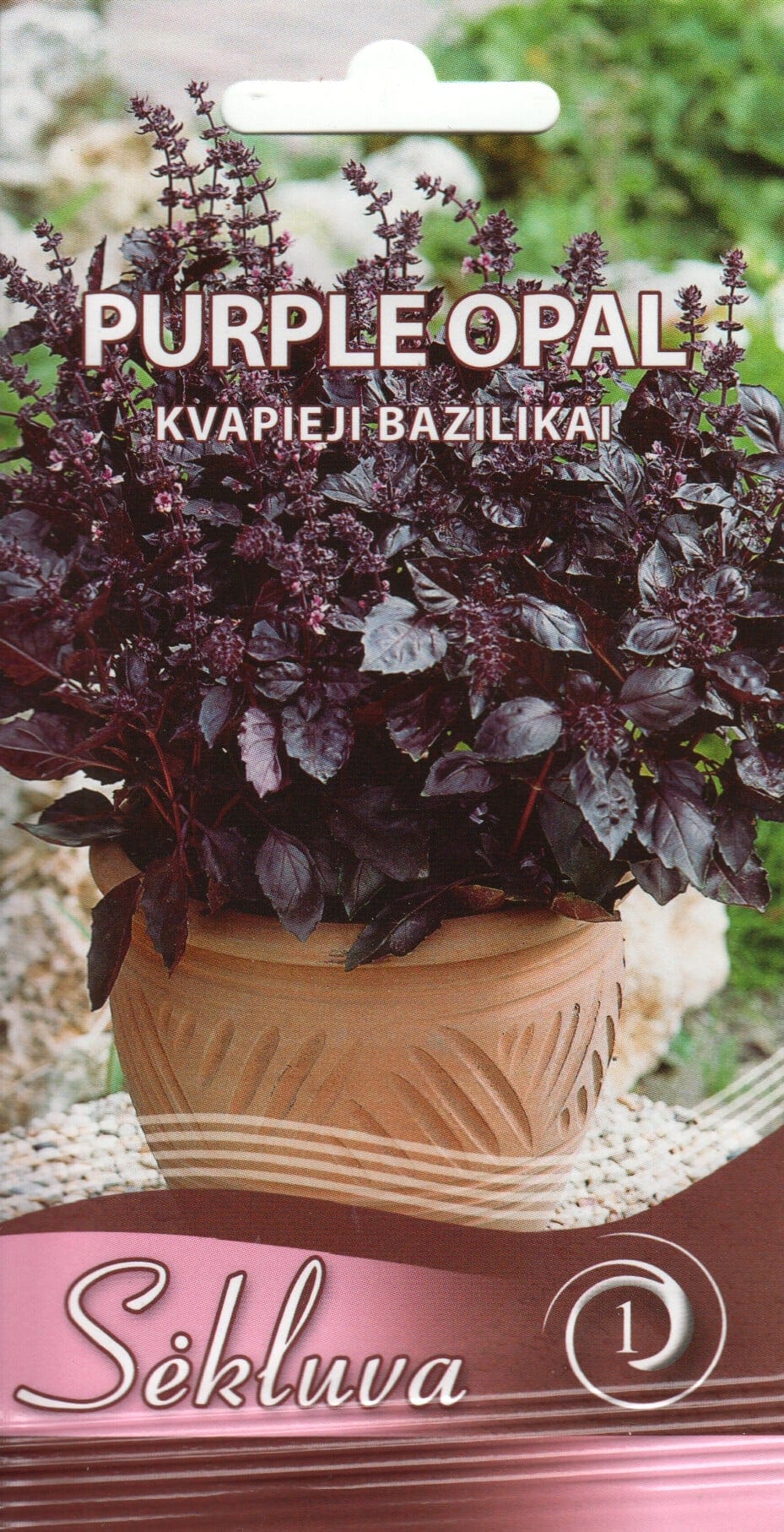 Vürtsbasiilik "Purple Opal"