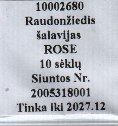 Metssalvei "Rose"