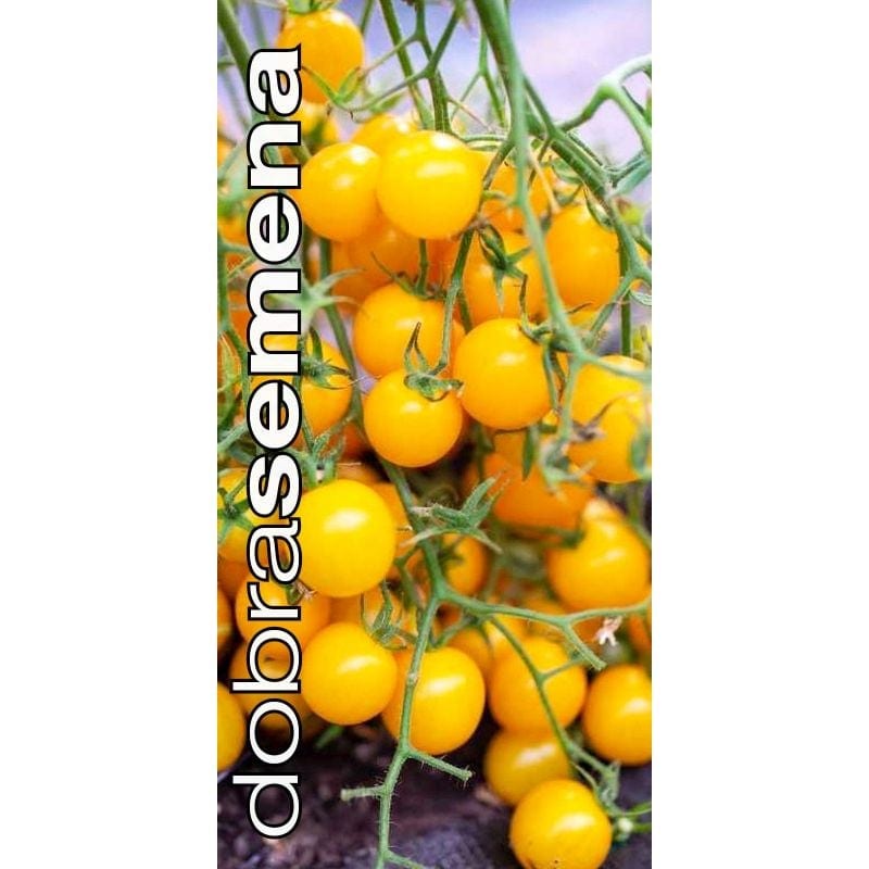 Sõstartomat / Golden Currant tomato / Wild tomato
