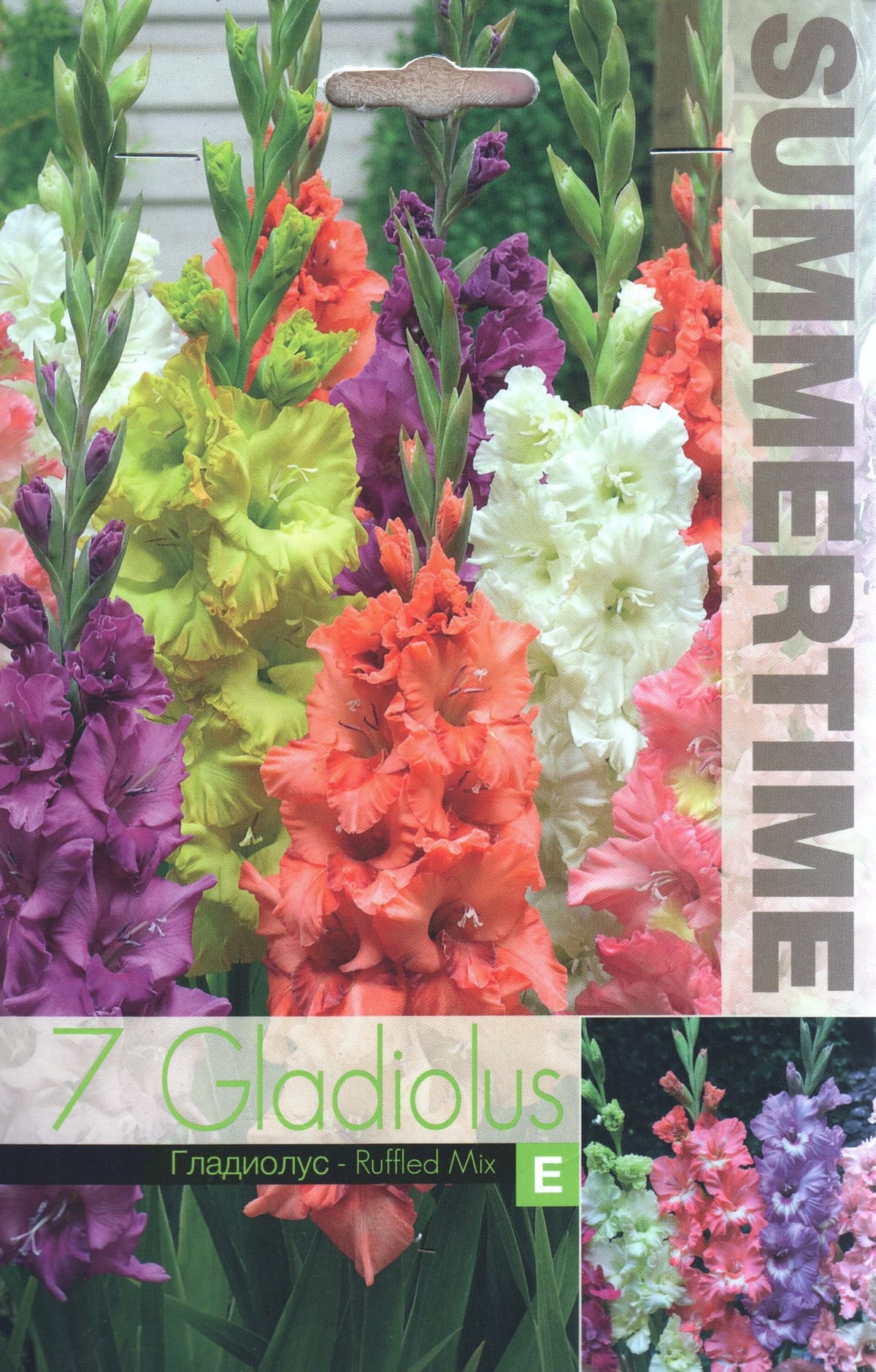 Gladiool "Ruffled Mix"