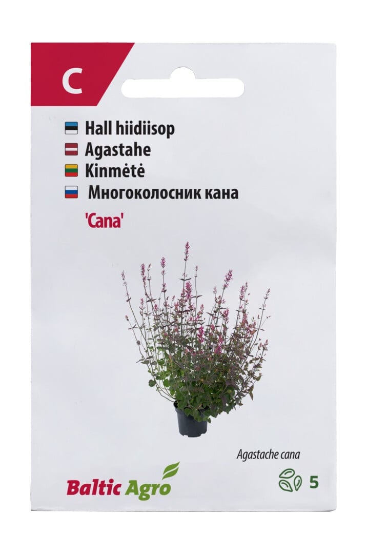 Hall hiidiisop "Cana" roosa