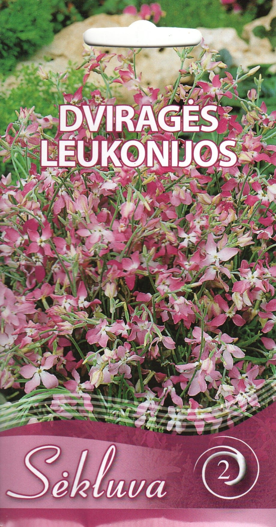 Öölevkoi "Lilac"