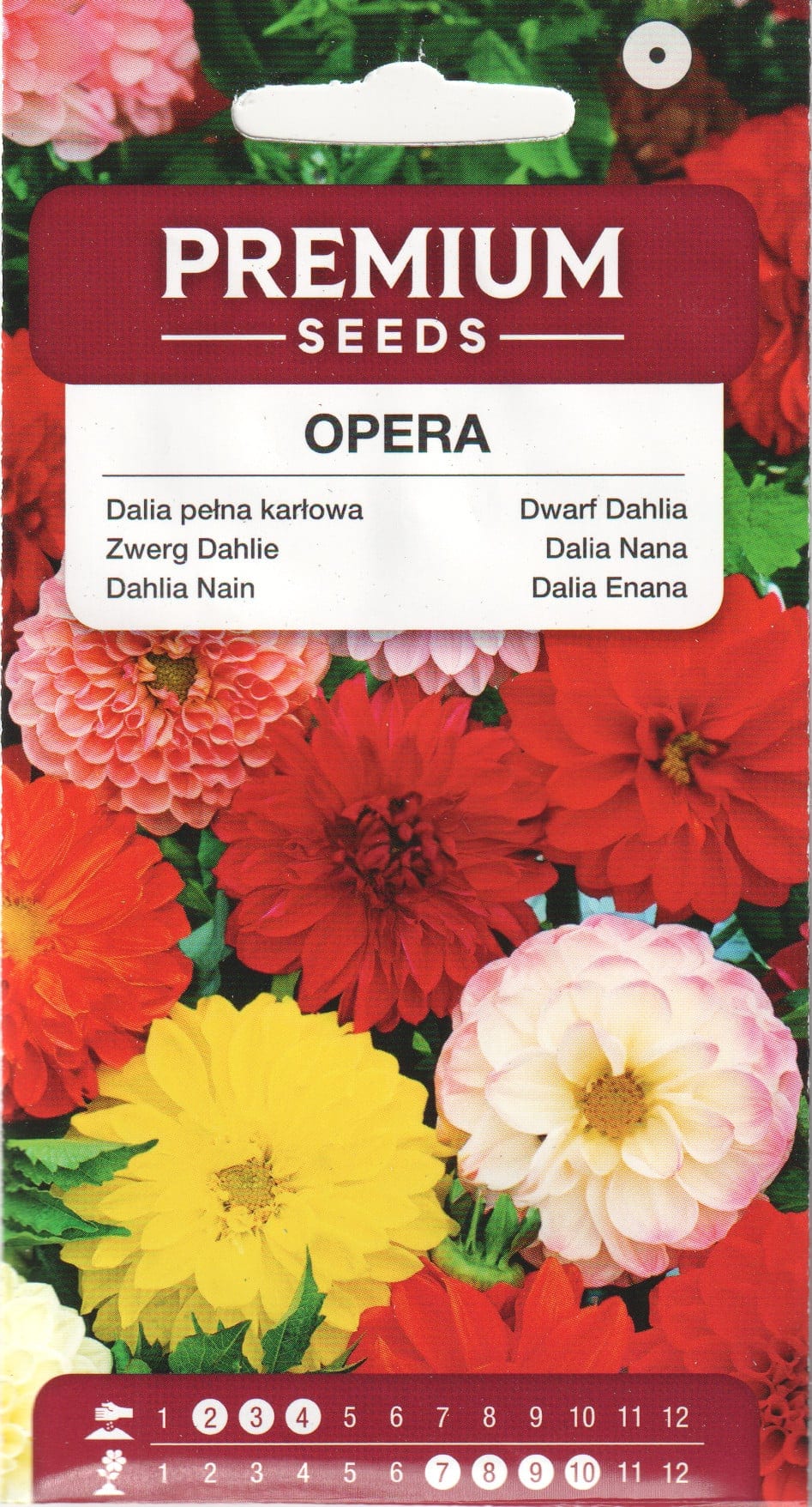 Aed-daalia kääbus “Opera”