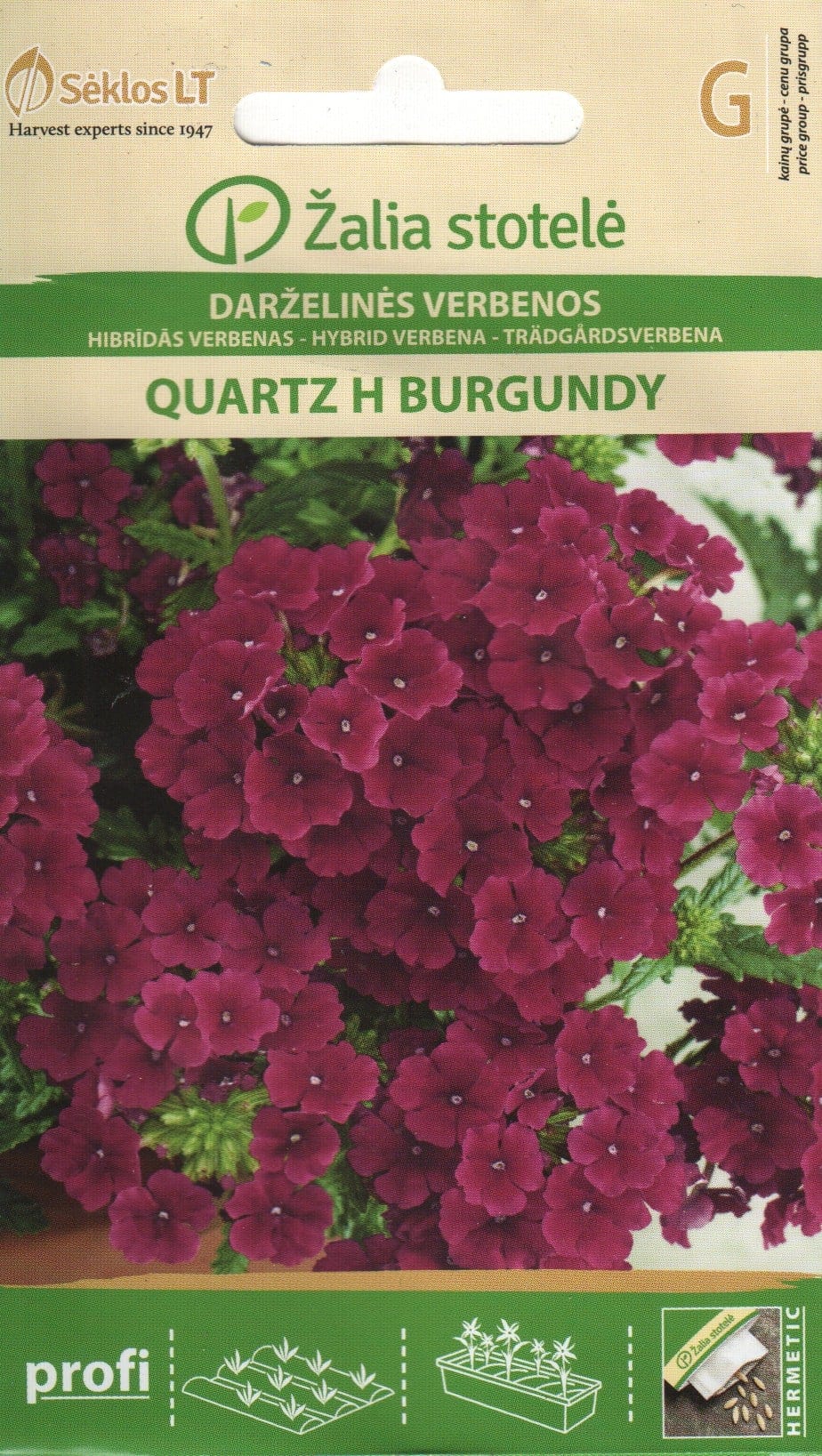 Aed-raudürt "Quartz Burgundy" F1