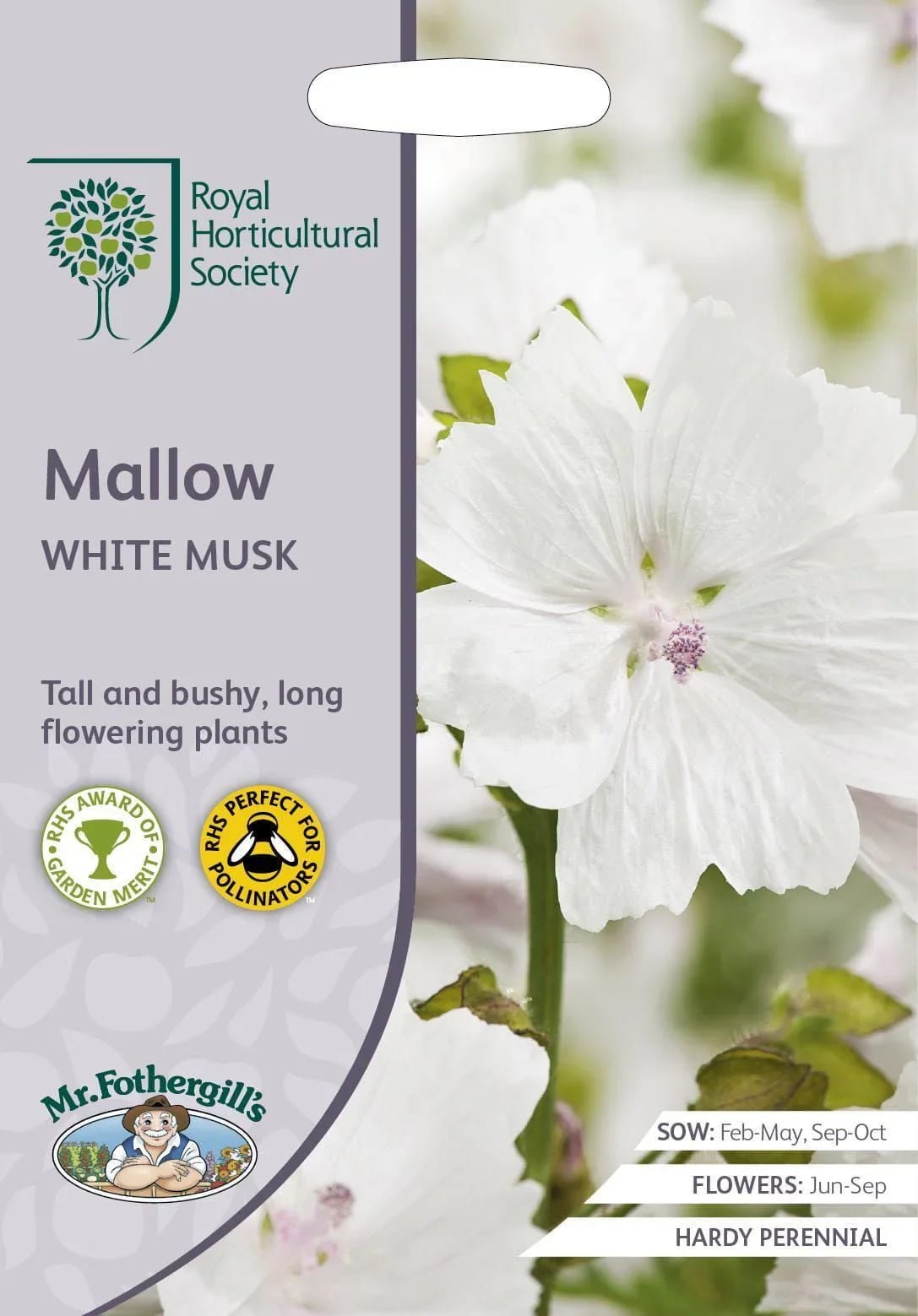 Muskus-kassinaeris "White Musk"