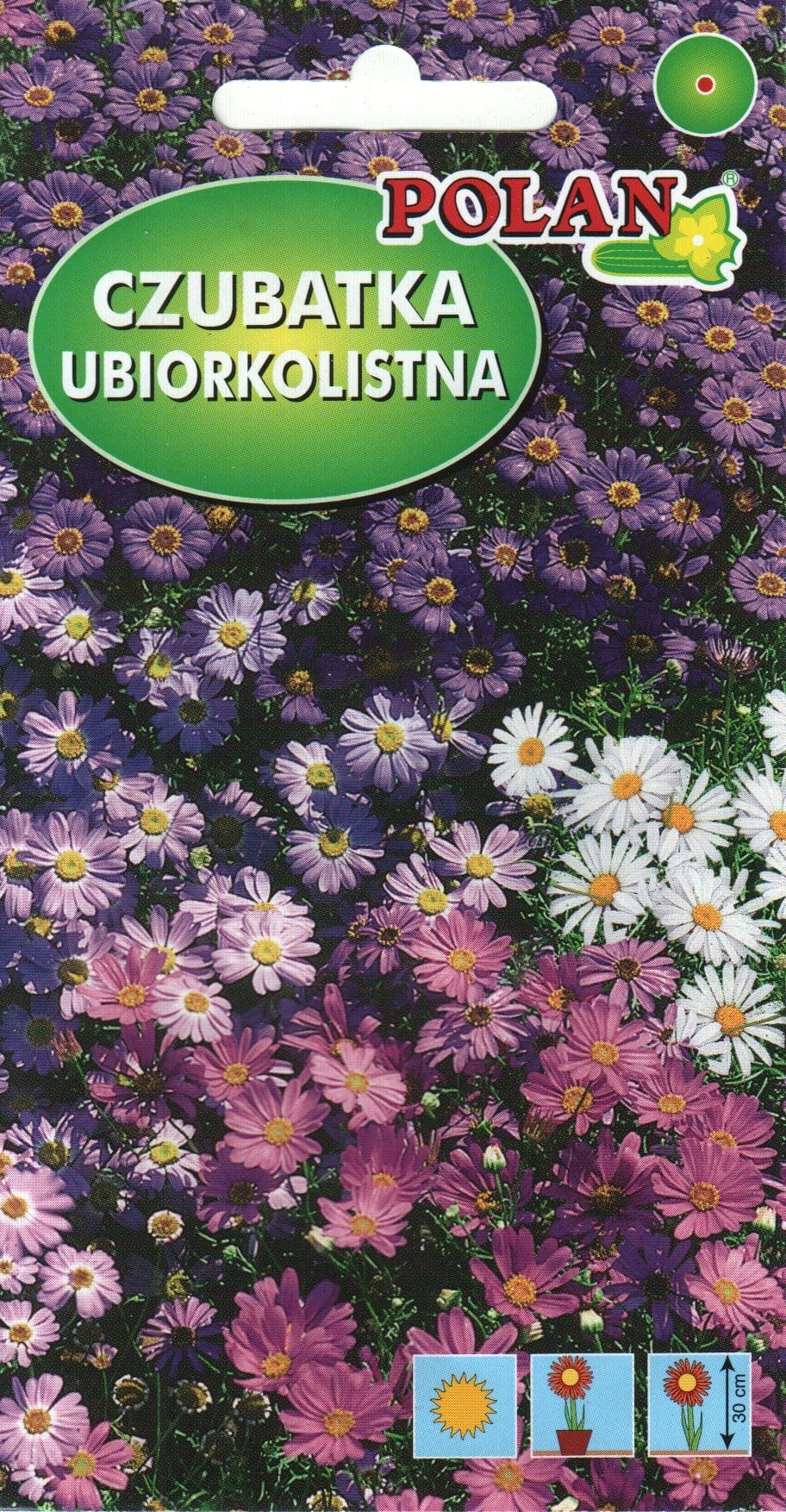 Ibeeriselehine tukalill segu
