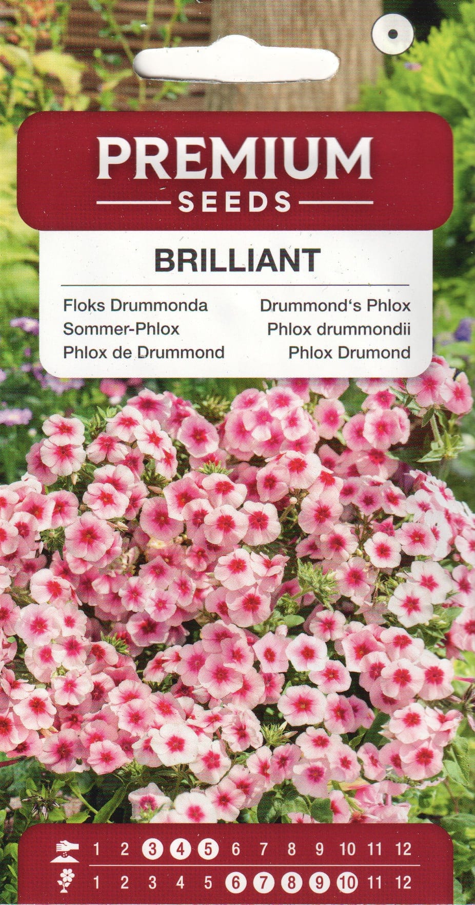 Suvi-leeklill "Brilliant"