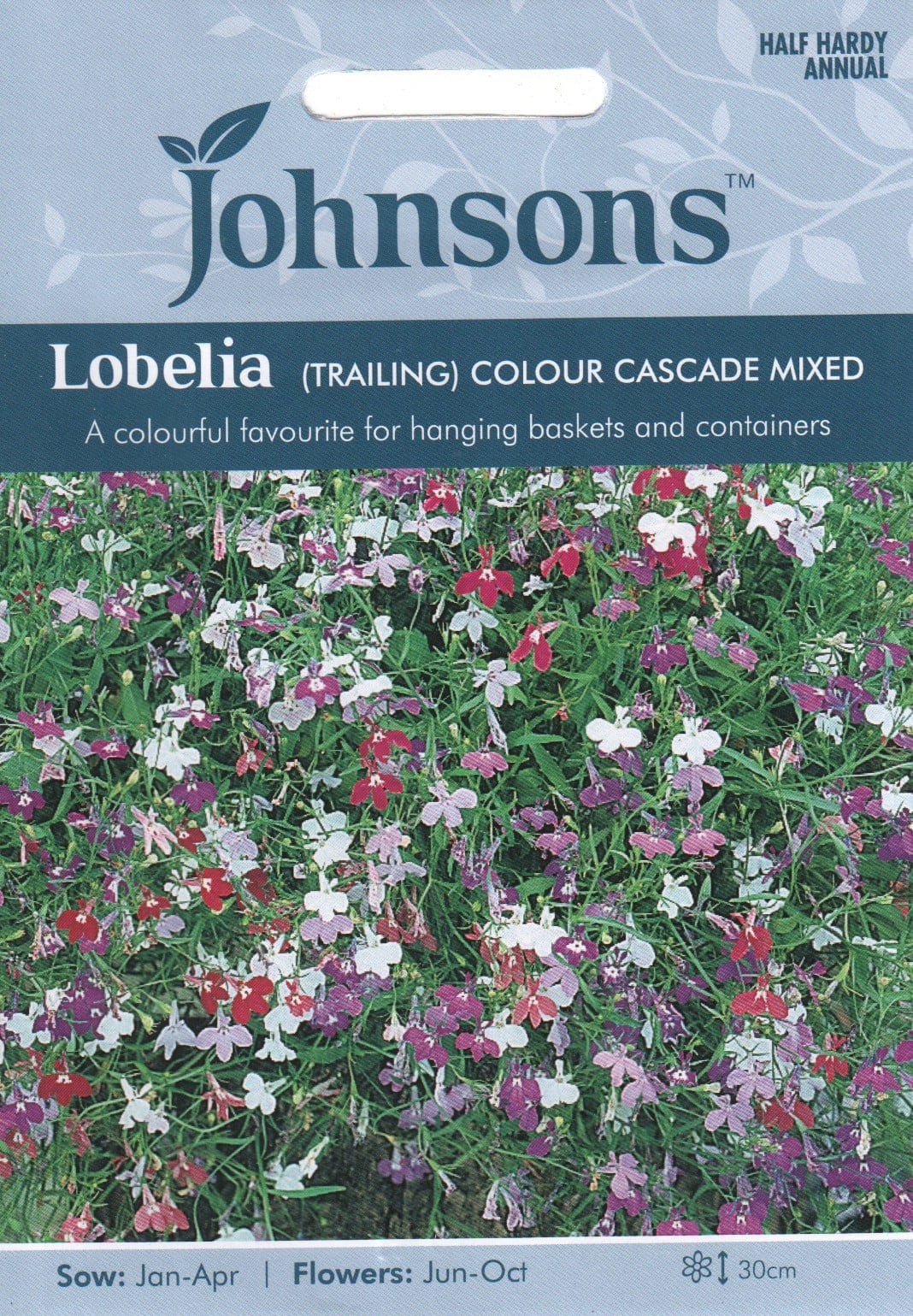Ripp-lobeelia "Colour Cascade Mixed"