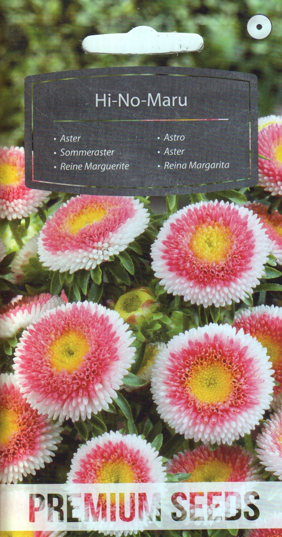 Aster "Liliput Hi-No-Maru"