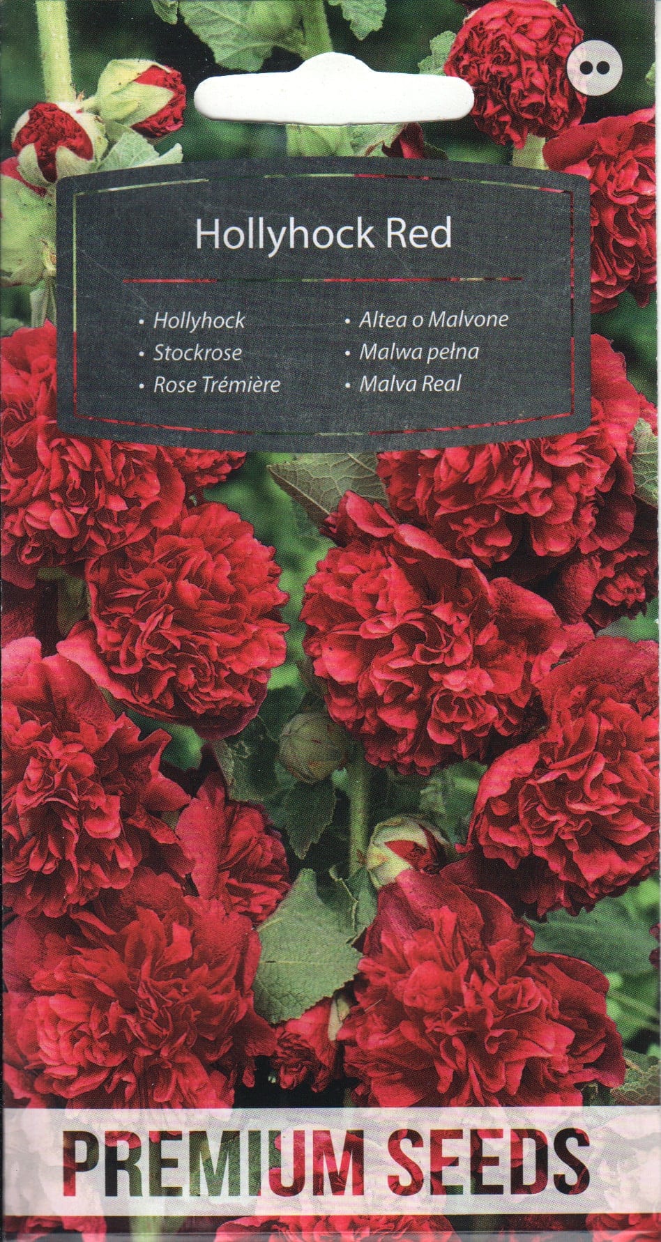 Aed-tokkroos "Red"