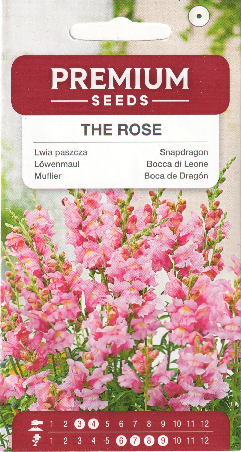 Lõvilõug "The Rose"