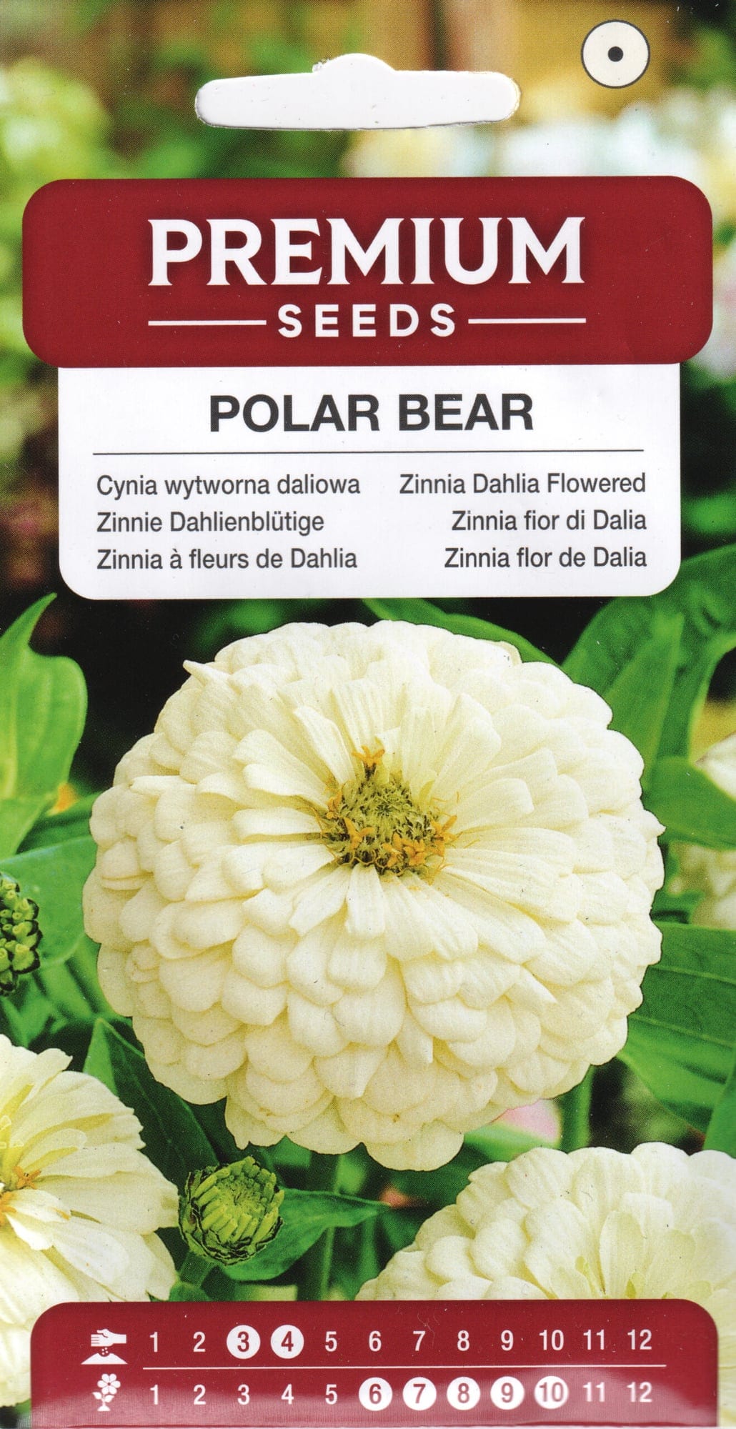 Harilik pruudisõlg "Polar Bear"
