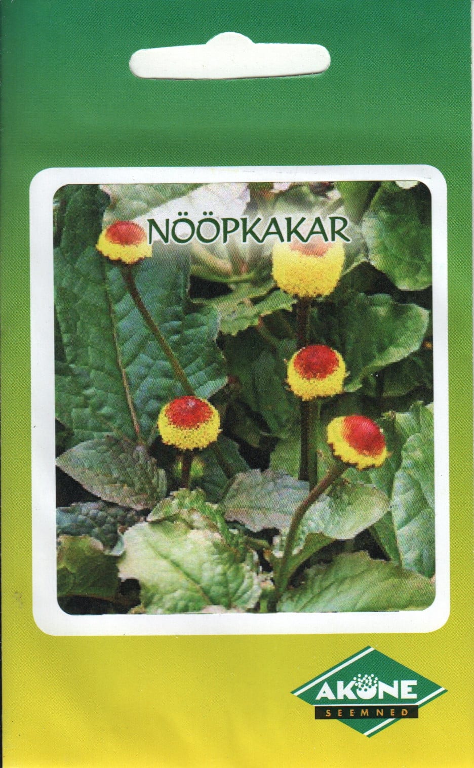 Harilik nööpkakar