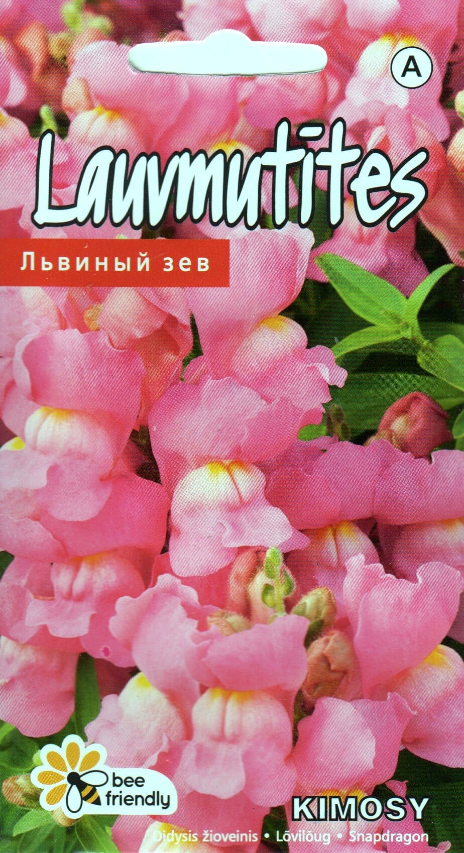 Lõvilõug kääbus "Kimosy Pink"